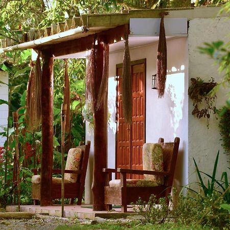 Casa A Beira Do Rio Jaguareguava Na Mata Atlantica Em Bertioga Spヴィラ エクステリア 写真
