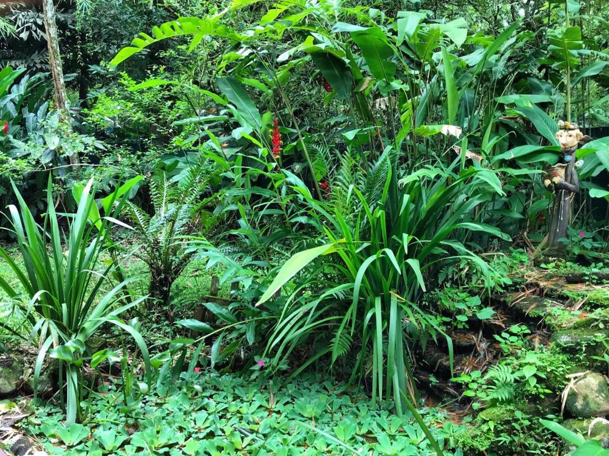 Casa A Beira Do Rio Jaguareguava Na Mata Atlantica Em Bertioga Spヴィラ エクステリア 写真