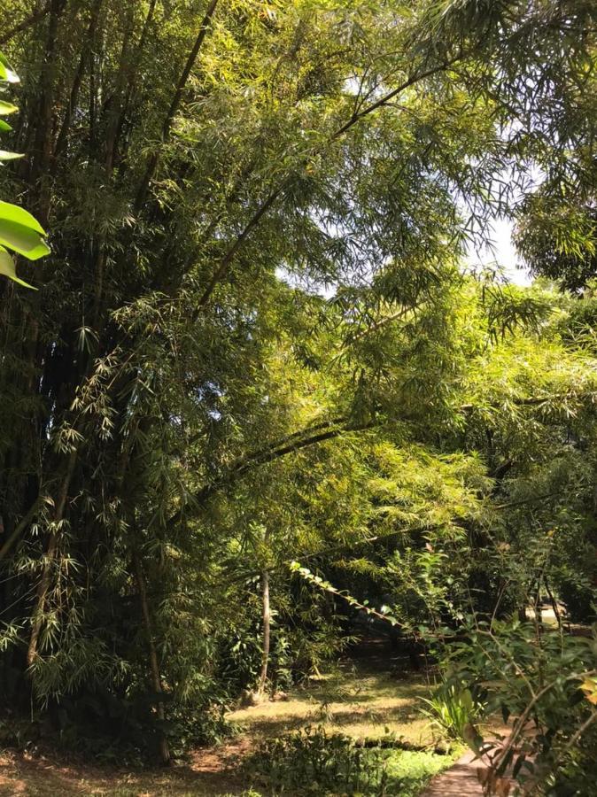 Casa A Beira Do Rio Jaguareguava Na Mata Atlantica Em Bertioga Spヴィラ エクステリア 写真
