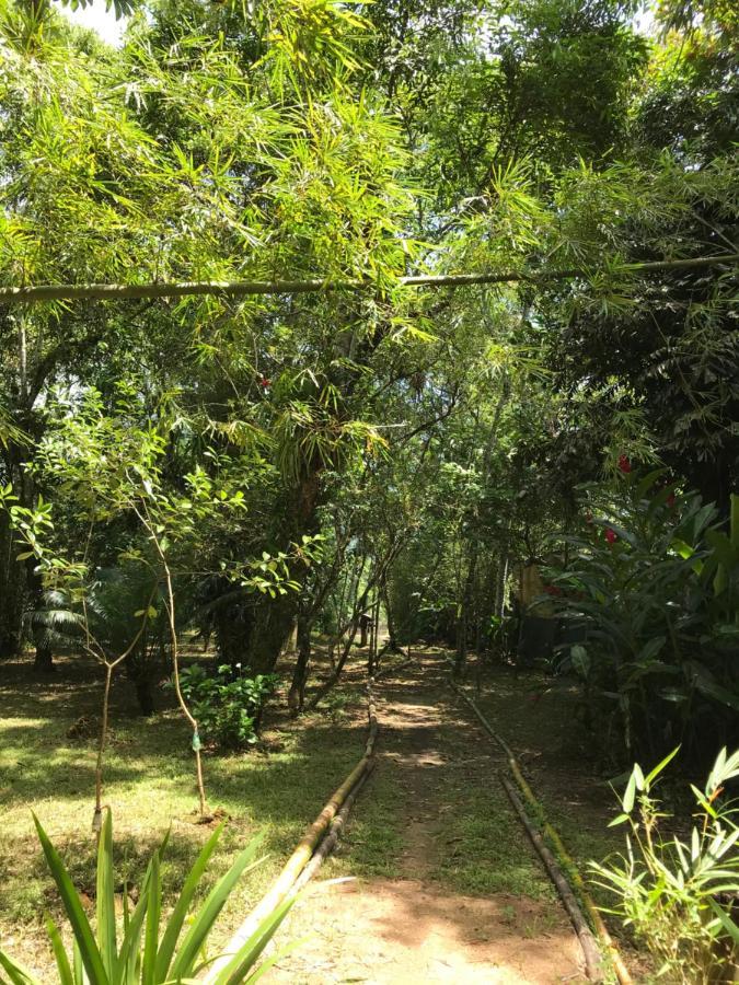 Casa A Beira Do Rio Jaguareguava Na Mata Atlantica Em Bertioga Spヴィラ エクステリア 写真